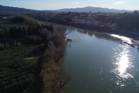 Landejendom i Mora La Nova, Tarragona, Mora La Nova - € 89.000 | Ref: L910M Riordan  - foto 37
